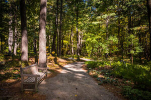 Naturalistic garden