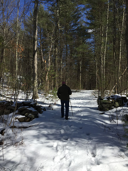 naturalistic garden trail in the winter