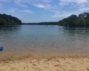 Sheep Pond at the Cape