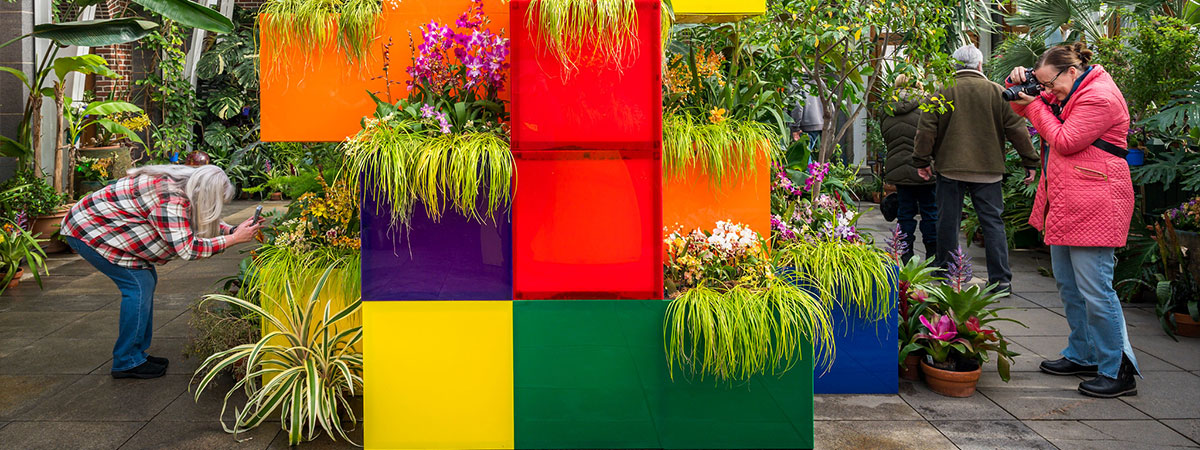 pixels and petals, orchid exhibition in the conservatory
