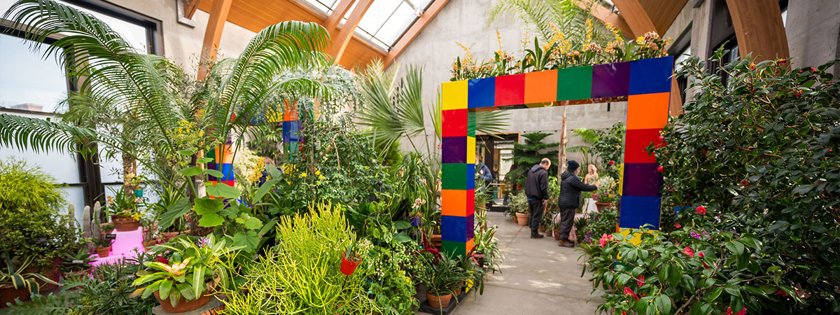 pixels and petals, orchid exhibition in the conservatory