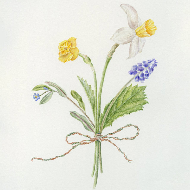 posie illustration