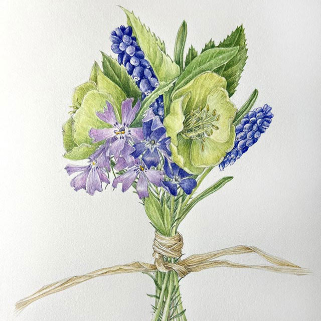 early spring posy illustration