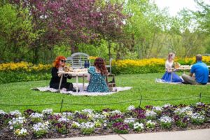 people gathered for a picnic on the garden's lawn