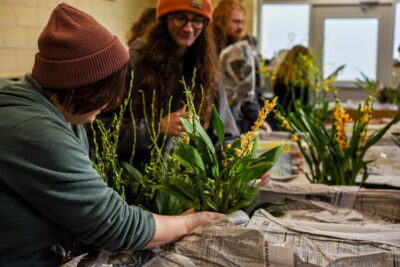 The horticulture team assembling plants