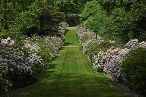 conneticut-arbotreum-thumbnail Connecticut College Arboretum garden path