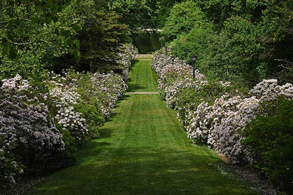 conneticut-arbotreum-thumbnail Connecticut College Arboretum garden path