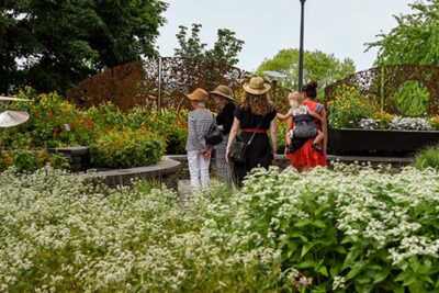 Visitors enjoying the garden in the summer