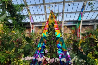 A display from the Prismatic orchid exhibition in the Orangerie.