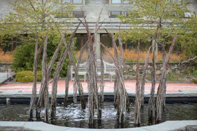 A display of Uprooted in the Winter Garden.