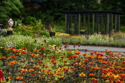 Red, yellow, and orange coneflowers bloomed in the Garden of Inspiration during the Summer