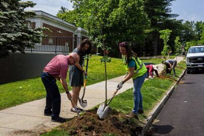 American Antiquarian Society President Scott Casper, Worcester City Councilor Jenny Pacillo and New England Botanic Garden CEO Grace Elton plant a tree along Regent Street. 