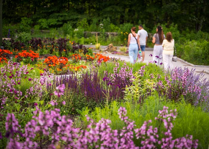visitors walking among a colorful garden