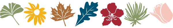 flowerlittlebanner illustrated plants