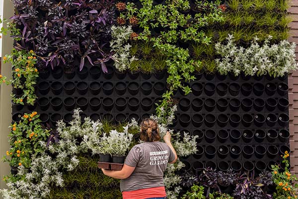 Empty wall of plants pots gets prepared to be planted by a horticulturalist