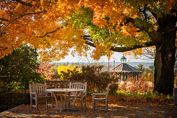 New England Botanic Garden chairs and table in a whimsical autumn setting surrounded by fall leaves and trees