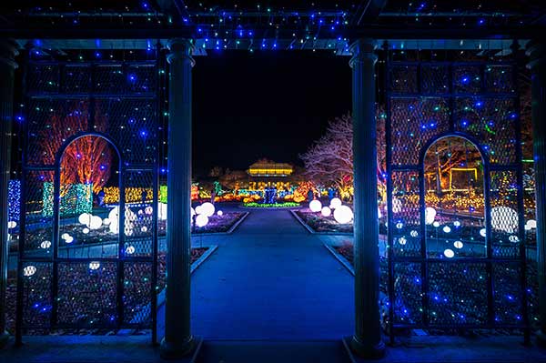 Inside of the gazebo of sparkly blue lights