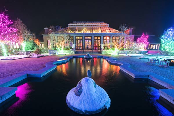 Colorful and vibrant display lights lit up in the Winter Garden during Night Lights