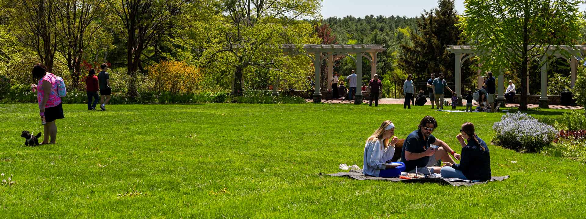 Visitors picnicking on the lawn at the Garden
