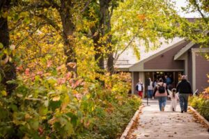Pliny Allee during the fall