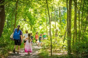 A field trip in the forest