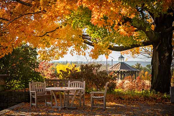 The Garden during the fall with foliage