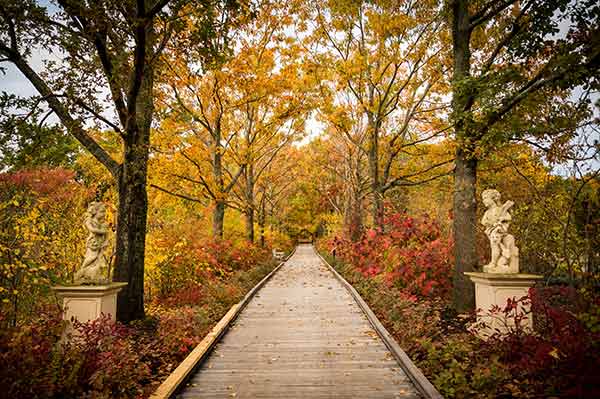 Pliny Allee during the Fall