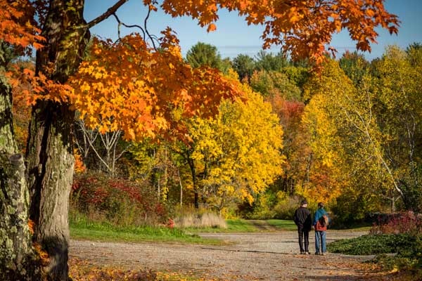 Two people visiting the trail during the fall at New England Botanic Garden