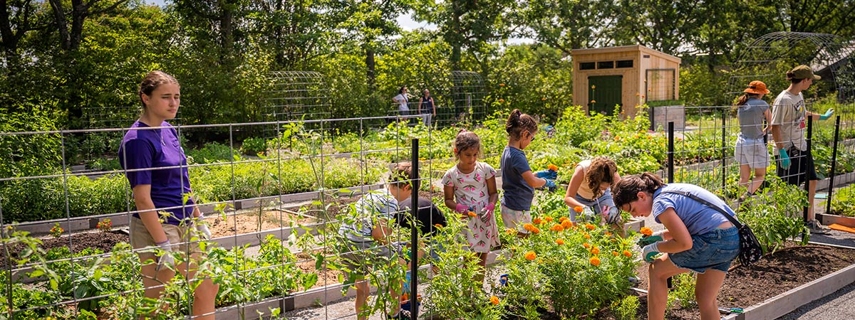 Youth in the Garden for summer discovery camp
