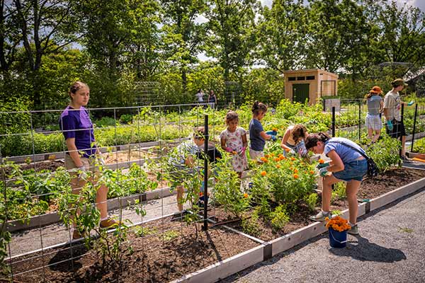 Youth in the Garden for summer discovery camp