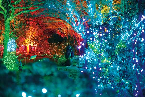 Bright and dazzling lights outdoors at New England Botanic Garden