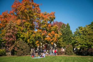 fall_fest_thumbnail