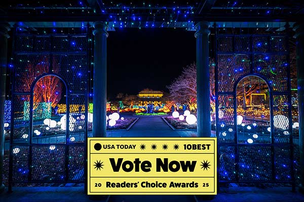 Under a gazebo looking towards a garden full of festive lights at night.