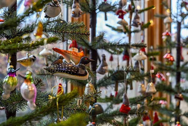 closeup of bird ornaments hanging on holiday trees