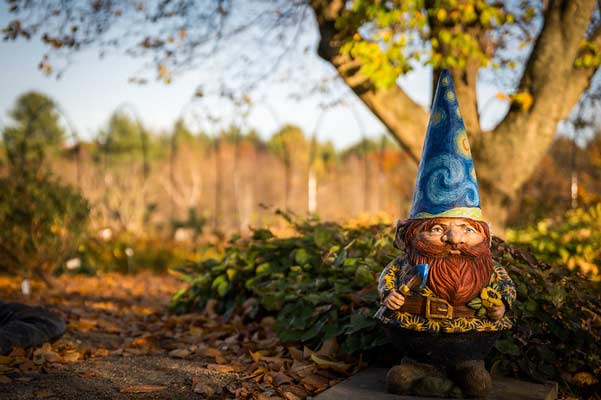 A painted gnome in a Starry Night art style. The gnome stands in front of a tree at New England Botanic Garden.