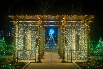 The Nadeau's Kindship Arbor covered with light lights and from a distance, a blue lighted tree silhouette can be seen