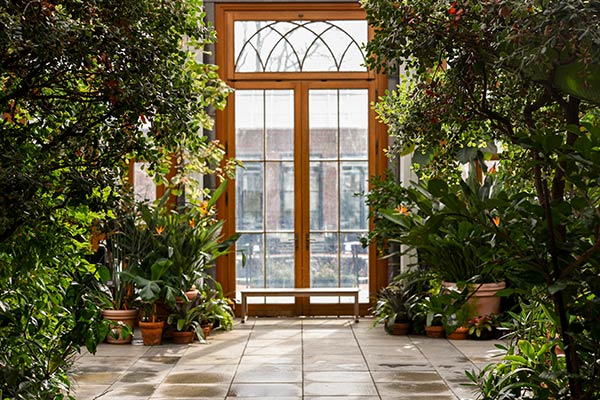 Conservatory door from inside looking out, surrounded by lush green plants