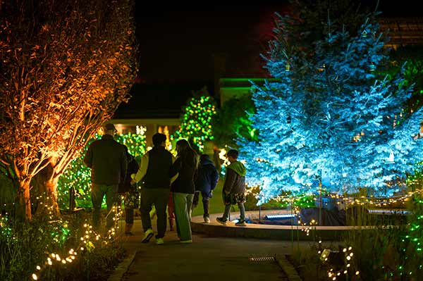 Night Lights at New England Botanic Garden