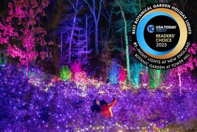 2 people in a sea of decorated bushes full of purple lights with colorful lit up trees in the background during a Holiday Night Lights event