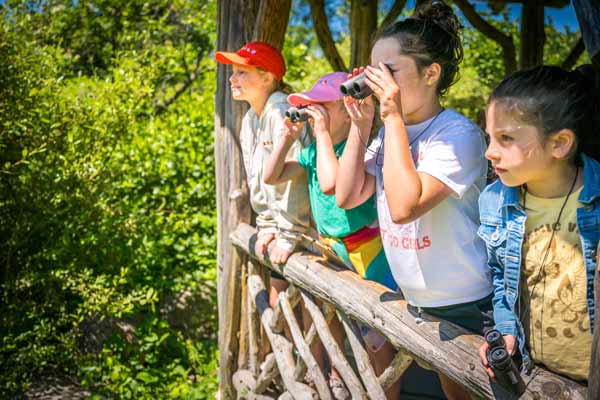 Kids observing nature from afar with a binocular