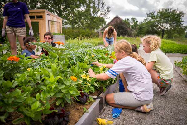 Kinds tending to a plant bed