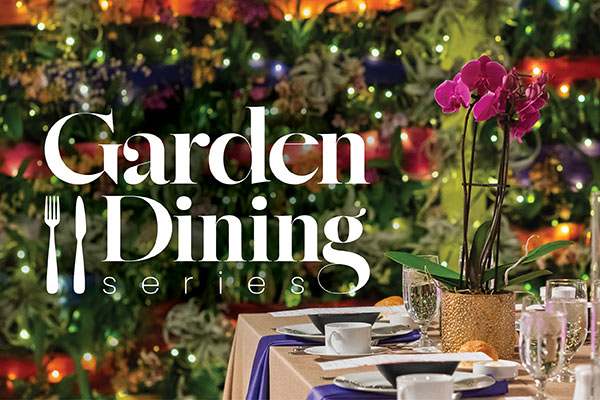 Garden Dining table set up with orchids and plant wall