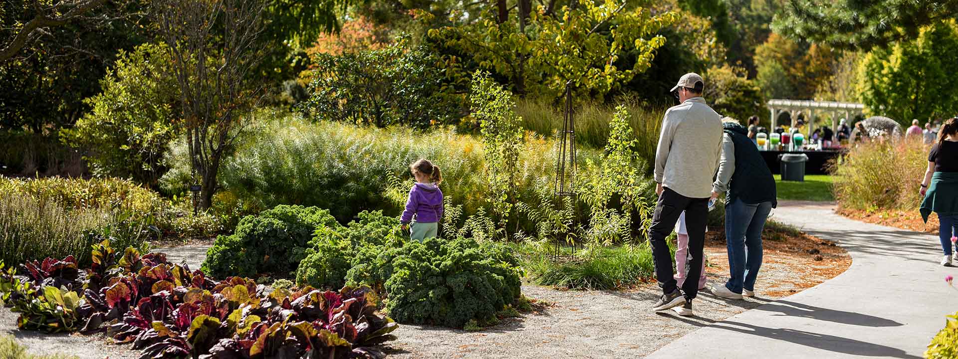 Guests in the Vegetable Garden during the fall