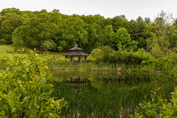 Summer at the Wildlife Refuge Pond. Photo by Megan Stouffer.