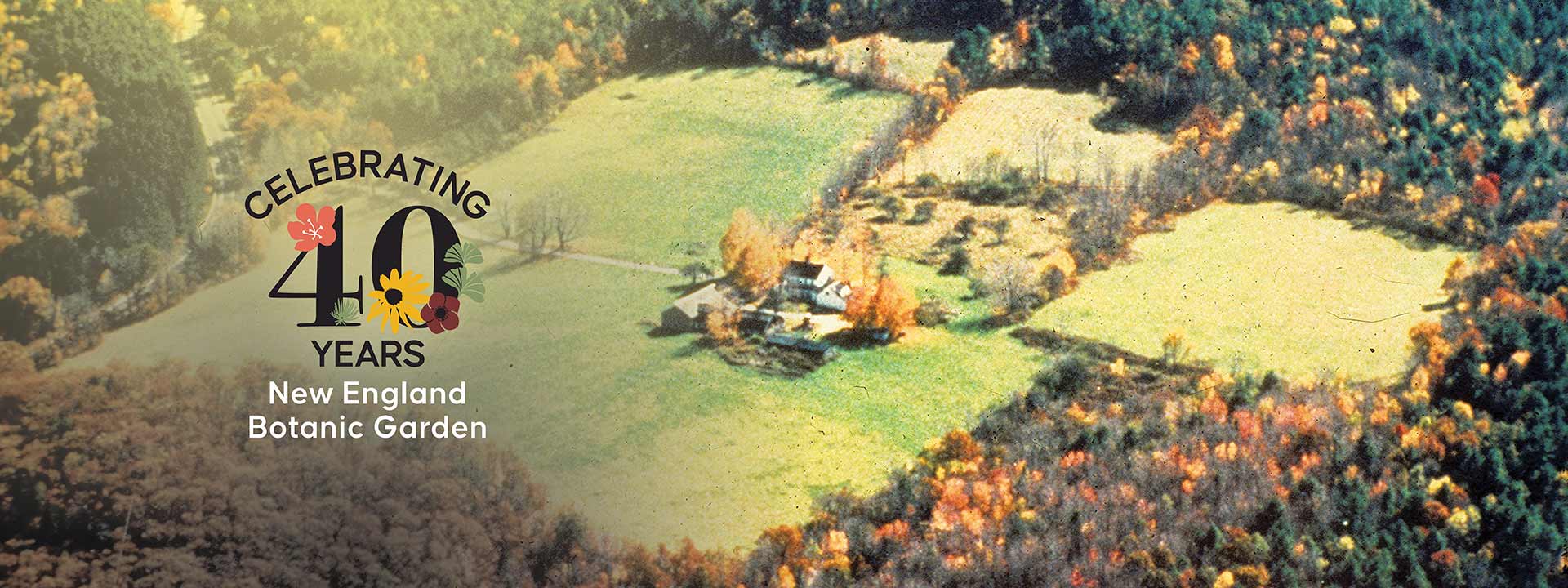 Aerial photograph of New England Botanic property during autumn season in 1986