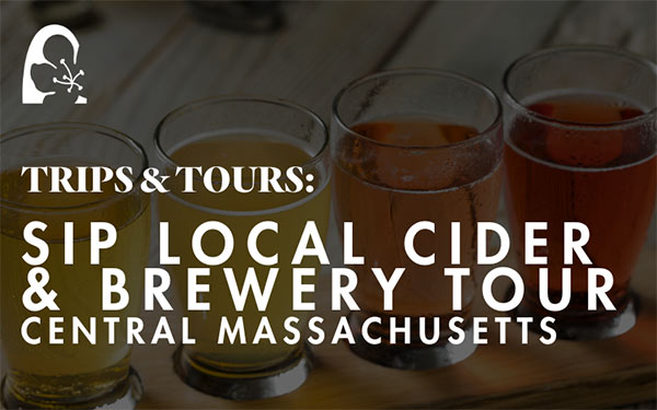 Four glass of ciders