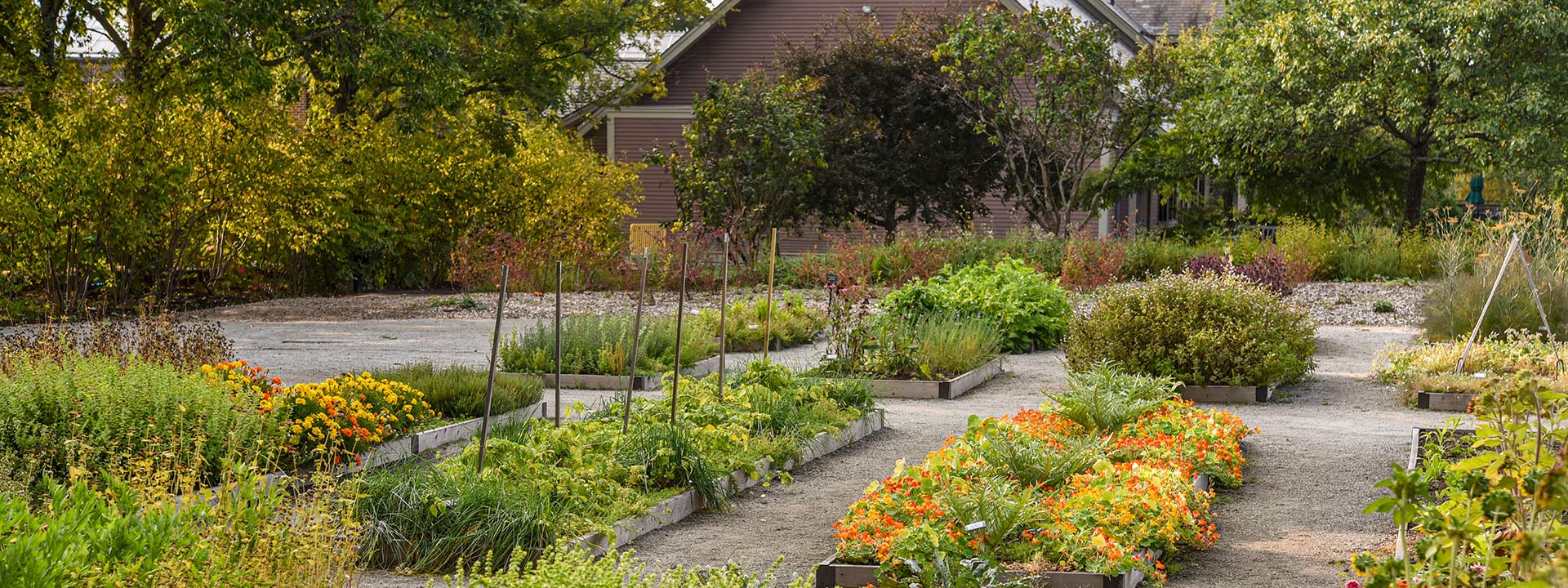 Flower and plant beds in the climate garden with the visitor center in the background