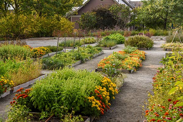 Flower and plant beds in the climate garden with the visitor center in the background