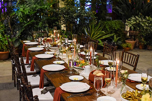 Candlelit intimate dinner in the conservatory