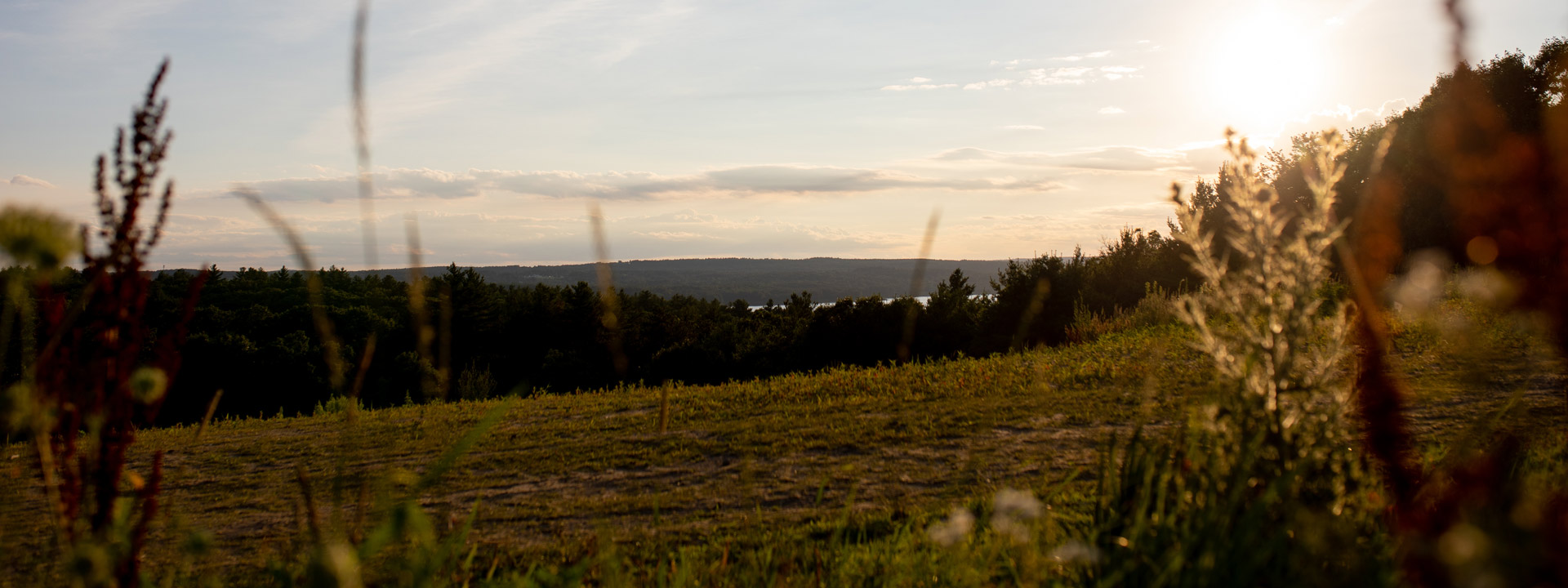 overlooking the meadow and wachusett reservoir